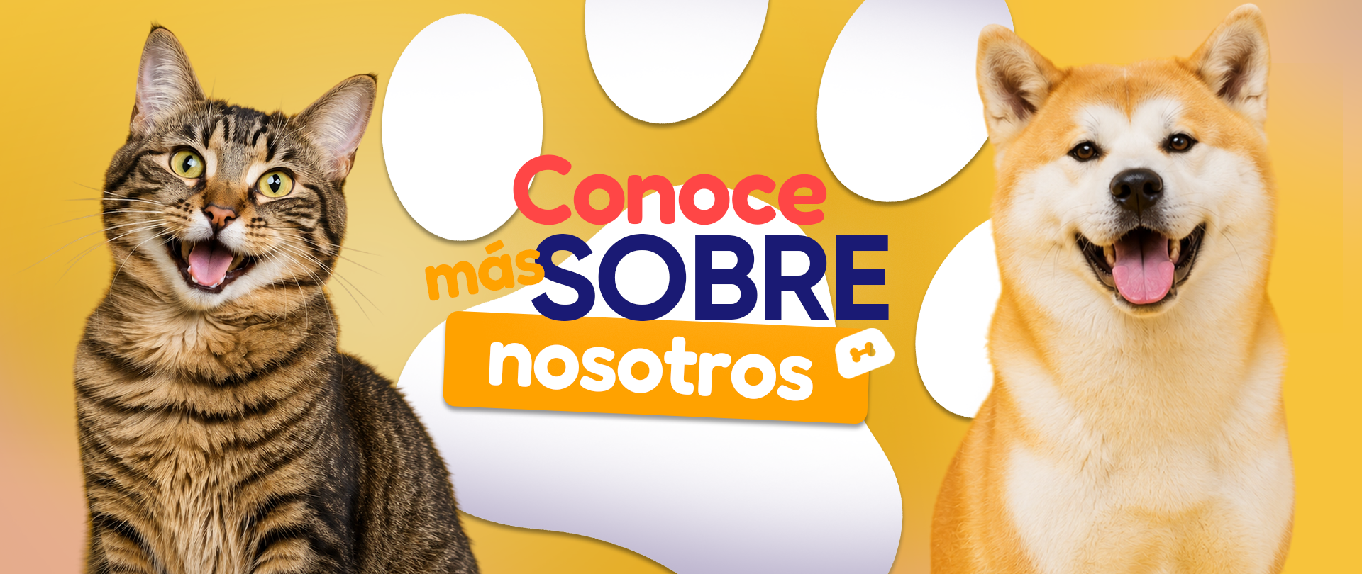 banner-nosotros